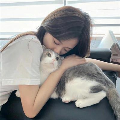 狗果定理
