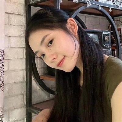 动物宝宝